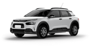 C4 CACTUS