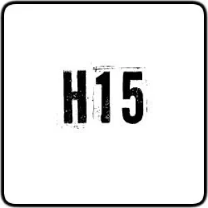 H15