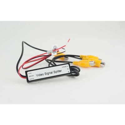 VIDEO SIGNAL SPEAKER